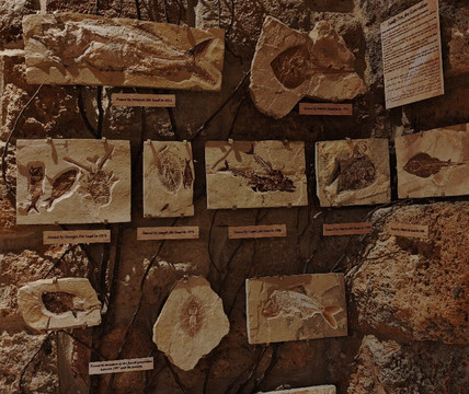 Memory of Time-朱拜勒必去景点