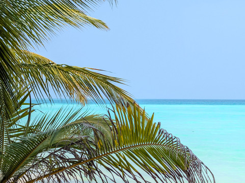 Bangaram Island Beach Resort主图