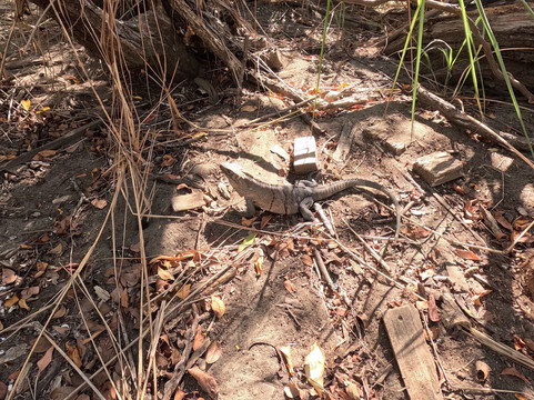 Reserva Curu-彭塔雷纳斯必去景点