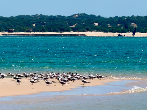 Bazaruto Incoming Agency-Vilanculos必去景点