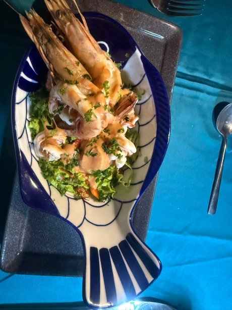 迪克韦拉斯梅拉达海滩酒店-官方