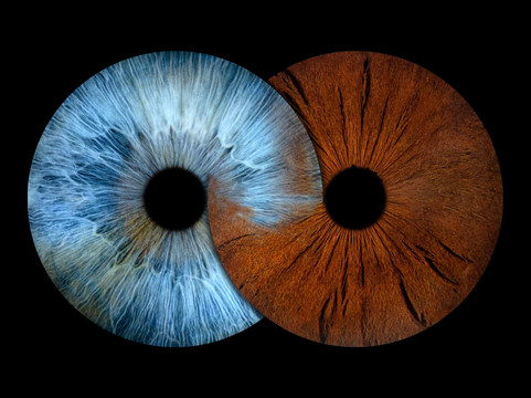 Iris Galerie Arnhem-阿纳姆必去景点