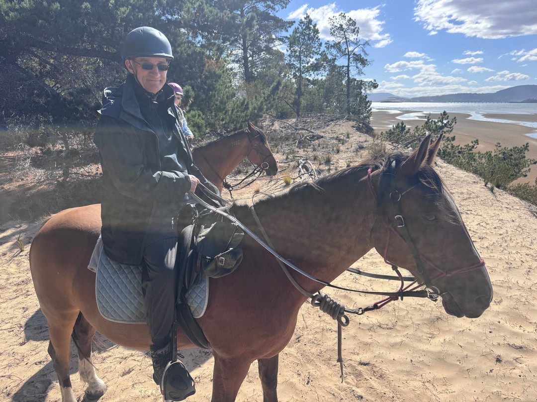 Horse Riding Tasmania-Woodsdale必去景点
