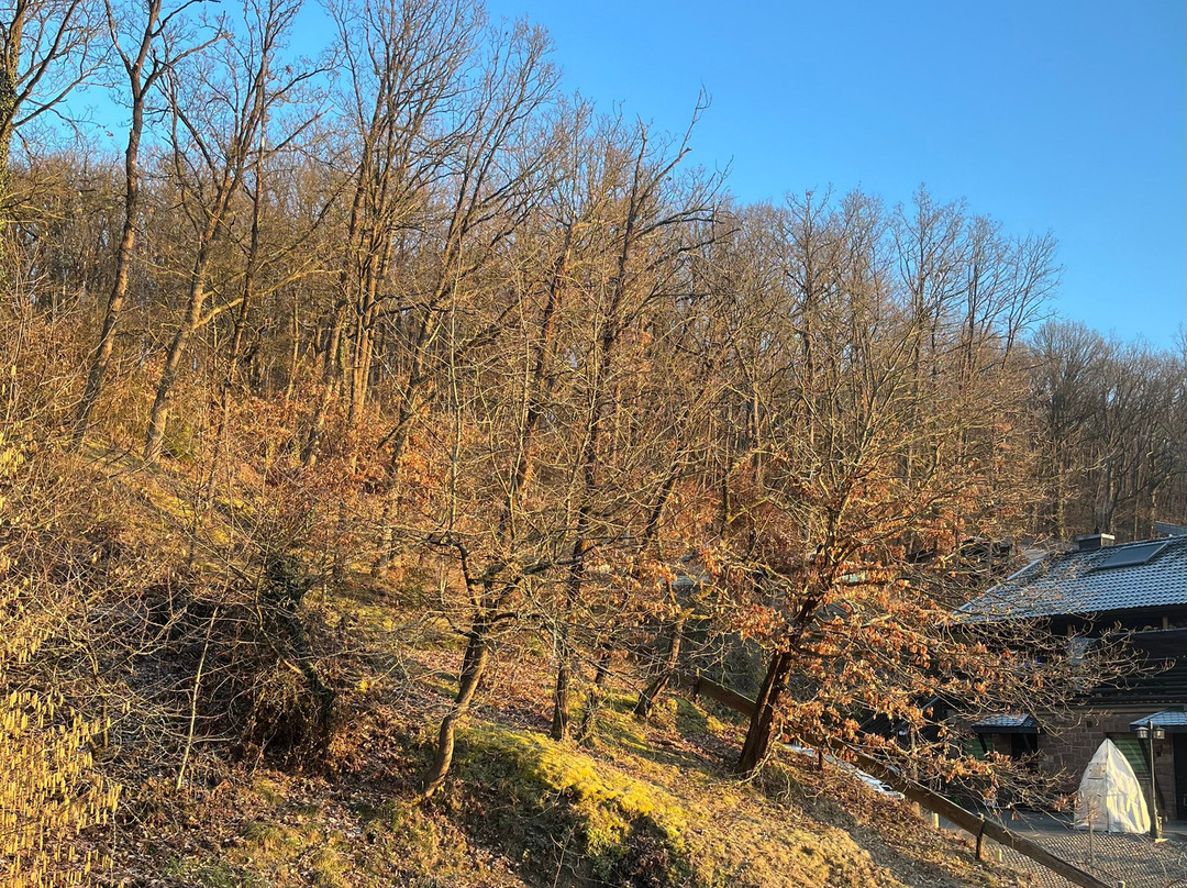 蒂芬巴赫潘森酒店主图