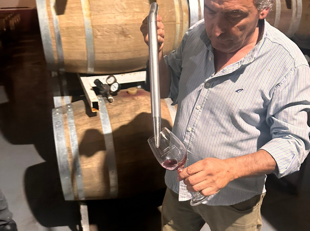 Laureano Gomez Winemaker-Colonia Las Rosas必去景点