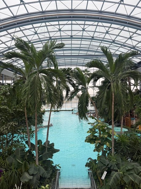 布加勒斯特老城希尔顿花园酒店-官方