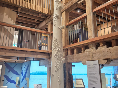 Poole Museum-普尔必去景点