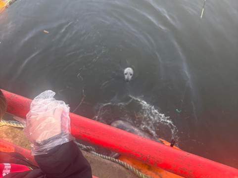 Eyemouth Harbour-Eyemouth必去景点