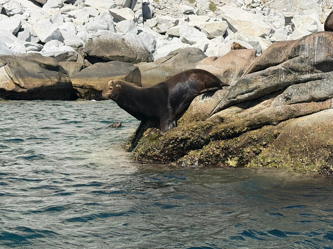 Cabo Pulmo Adventures-Cabo Pulmo必去景点