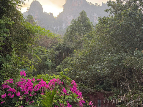 考索树屋度假村主图