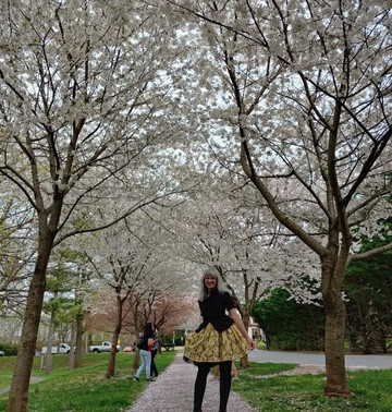 Pangborn Park-黑格斯敦必去景点