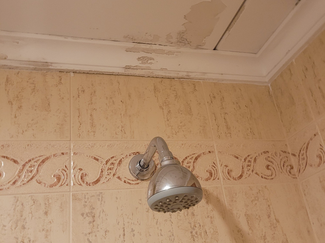 伊莎贝尔夫人酒店主图