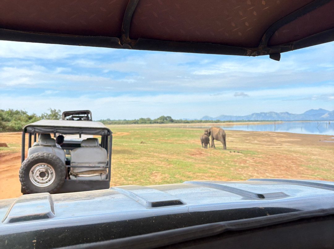 Kavisha Safari Service Udawalawa-乌达瓦拉瓦必去景点