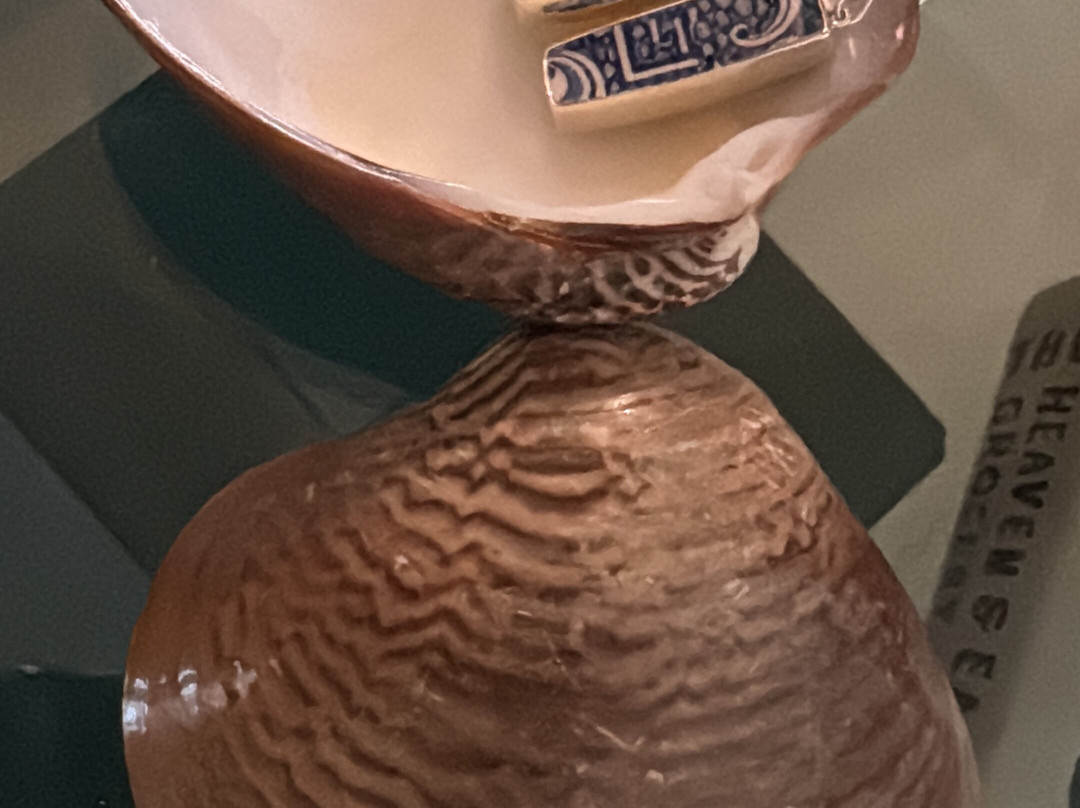 Sillvermoon Gallery-圣何塞卡波必去景点