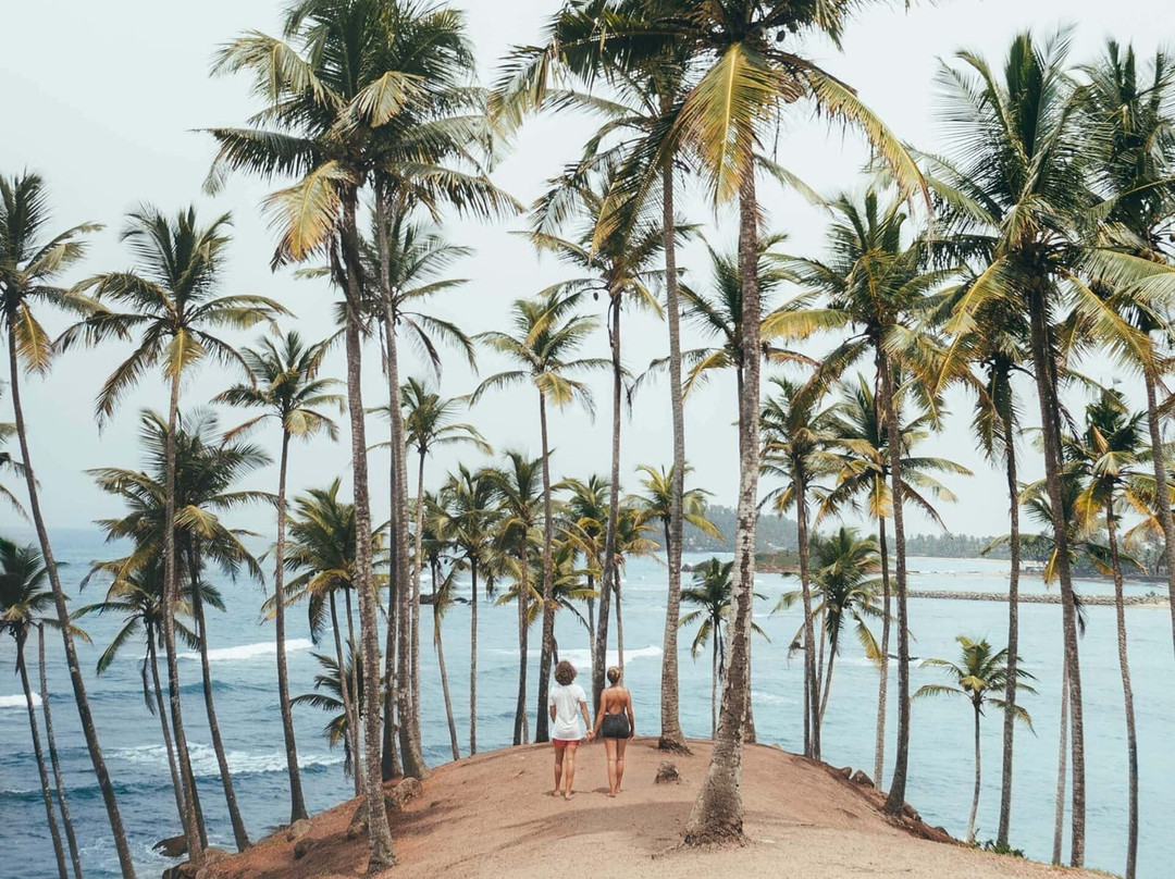 Romana Lanka Yala Tours-蒂瑟默哈拉默必去景点