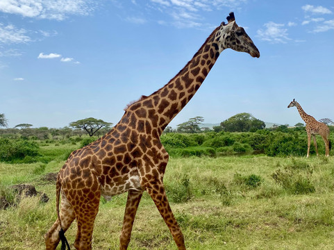 Latitude Explorers-Fontenay-les-Briis必去景点