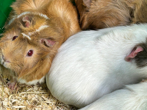 Hatton Country World-Hatton必去景点