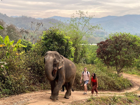 Loolu Tour - Private Day Tours-清迈必去景点