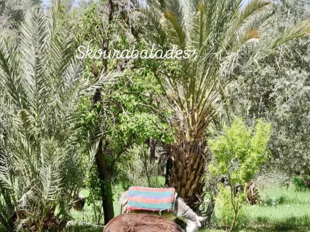 Visite privée dans La  vallée de Sidiflah avec atelier de pain traditionnel-Sidi Flah必去景点