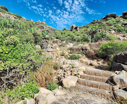 Cape Edgecumbe Walking Trail-博恩必去景点