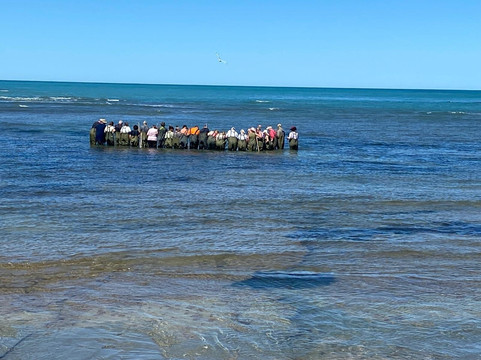 Dive Tatapouri-Gisborne Region必去景点