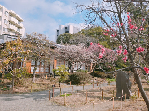 Mukojima Hyakkaen-墨田区必去景点