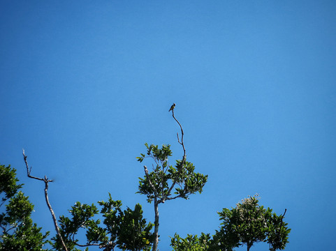 DANTA TOURS-Xpujil Town必去景点