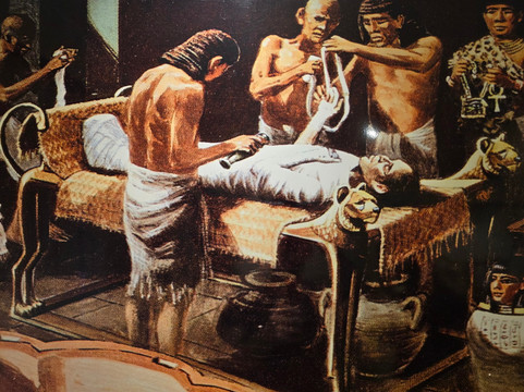 Museu de Arqueologia Ciro Flamarion Cardoso-Ponta Grossa必去景点