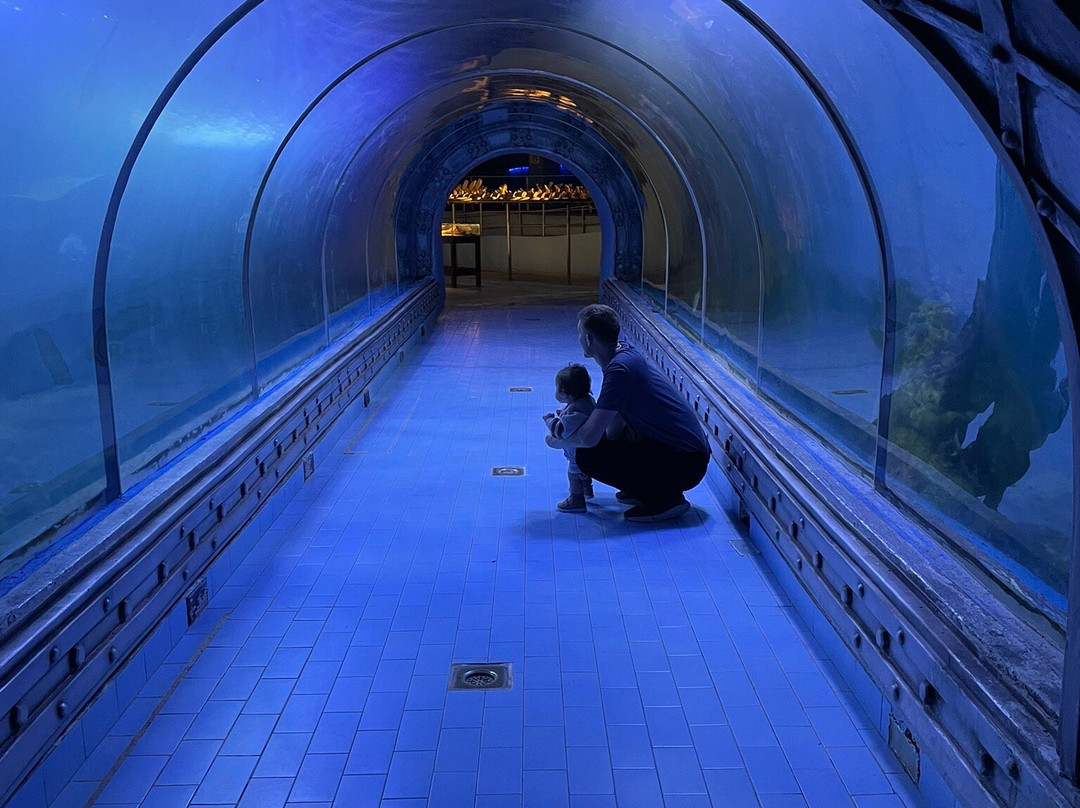 Hurghada Grand Aquarium-赫尔格达必去景点