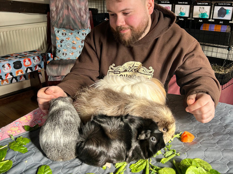 Cavies & Cake-Fakenham必去景点