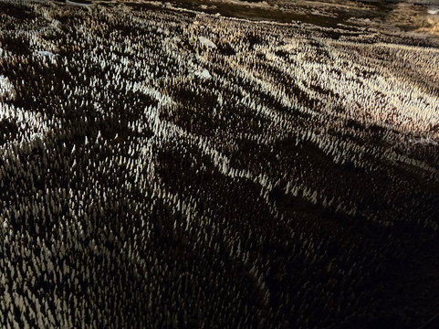 Grotte de Trabuc-Mialet必去景点