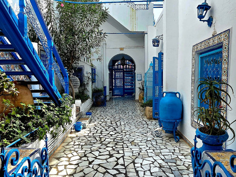 Museum Dar el-Annabi-蓝白小镇必去景点