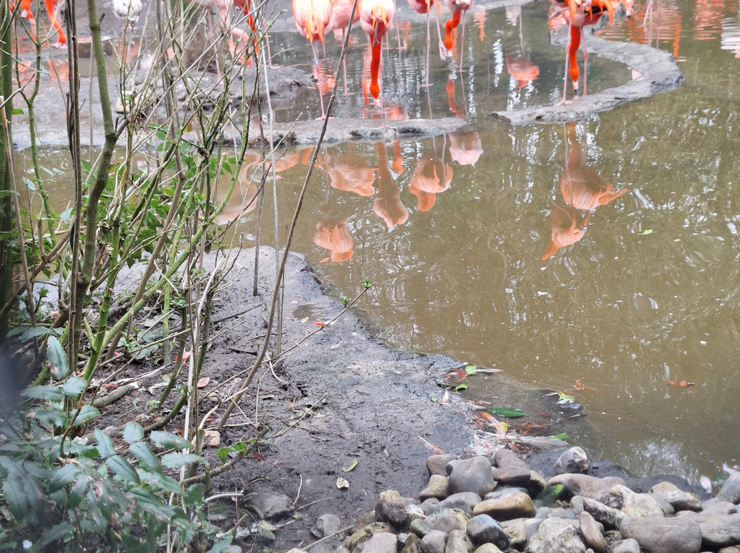 Vogelpark Avifauna-Alphen aan den Rijn必去景点