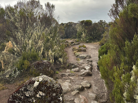 Dare 2 Travel Consultants-阿鲁沙必去景点