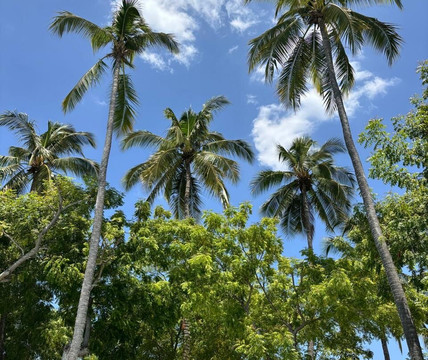 Puerto Azul酒店和帆船俱乐部主图