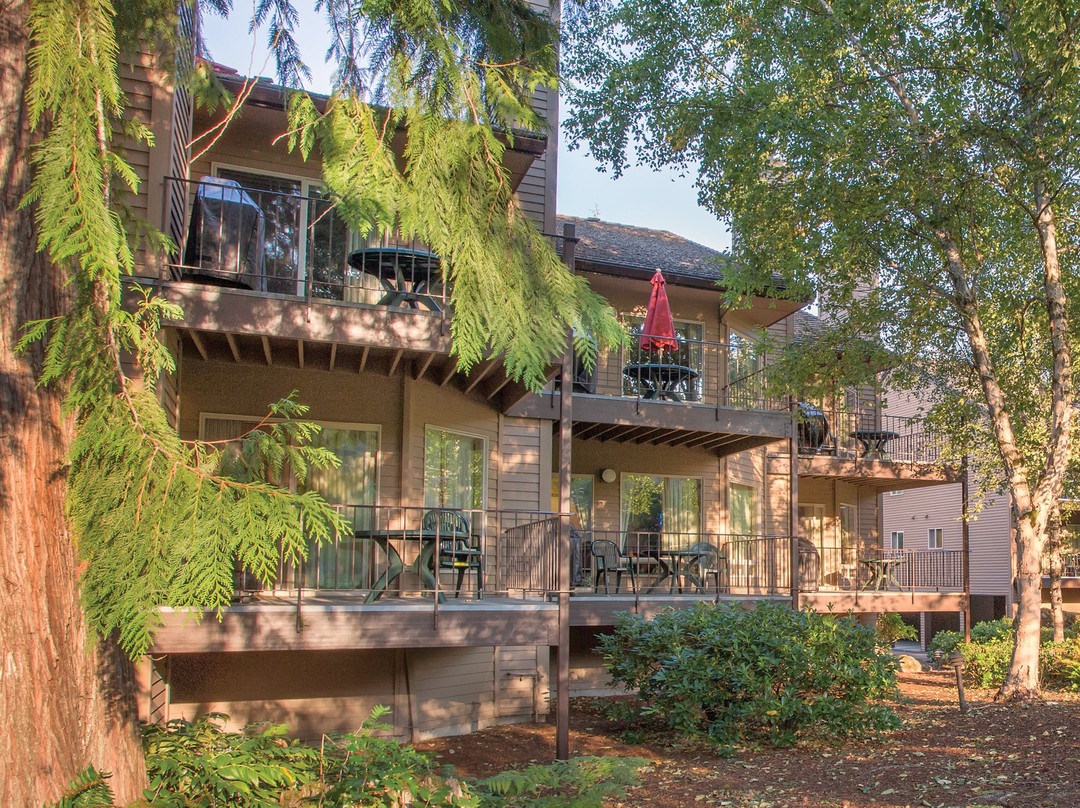 低语森林度假村主图