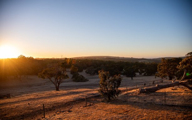 野木山谷酒店-酒店景观