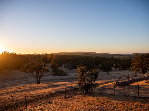 野木山谷酒店主图