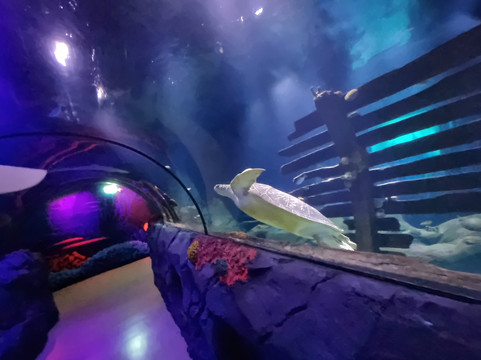 SEA LIFE Konstanz-康士坦茨必去景点