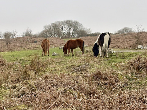 Avon Dam-South Brent必去景点