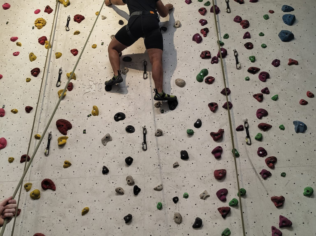 Big Rock Hub-米尔顿凯恩斯必去景点