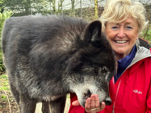 Predator Park-Ayside必去景点