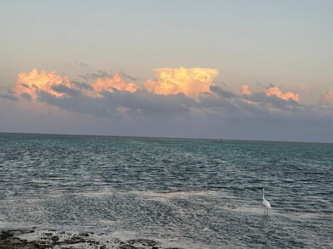 切萨皮克海滩度假村主图