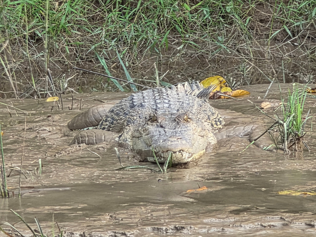 Osman's Homestay主图