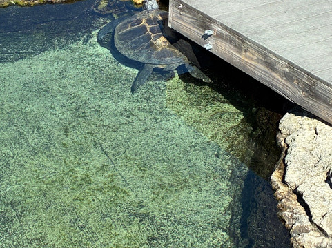 Florida Oceanographic Coastal Center-斯图尔特必去景点