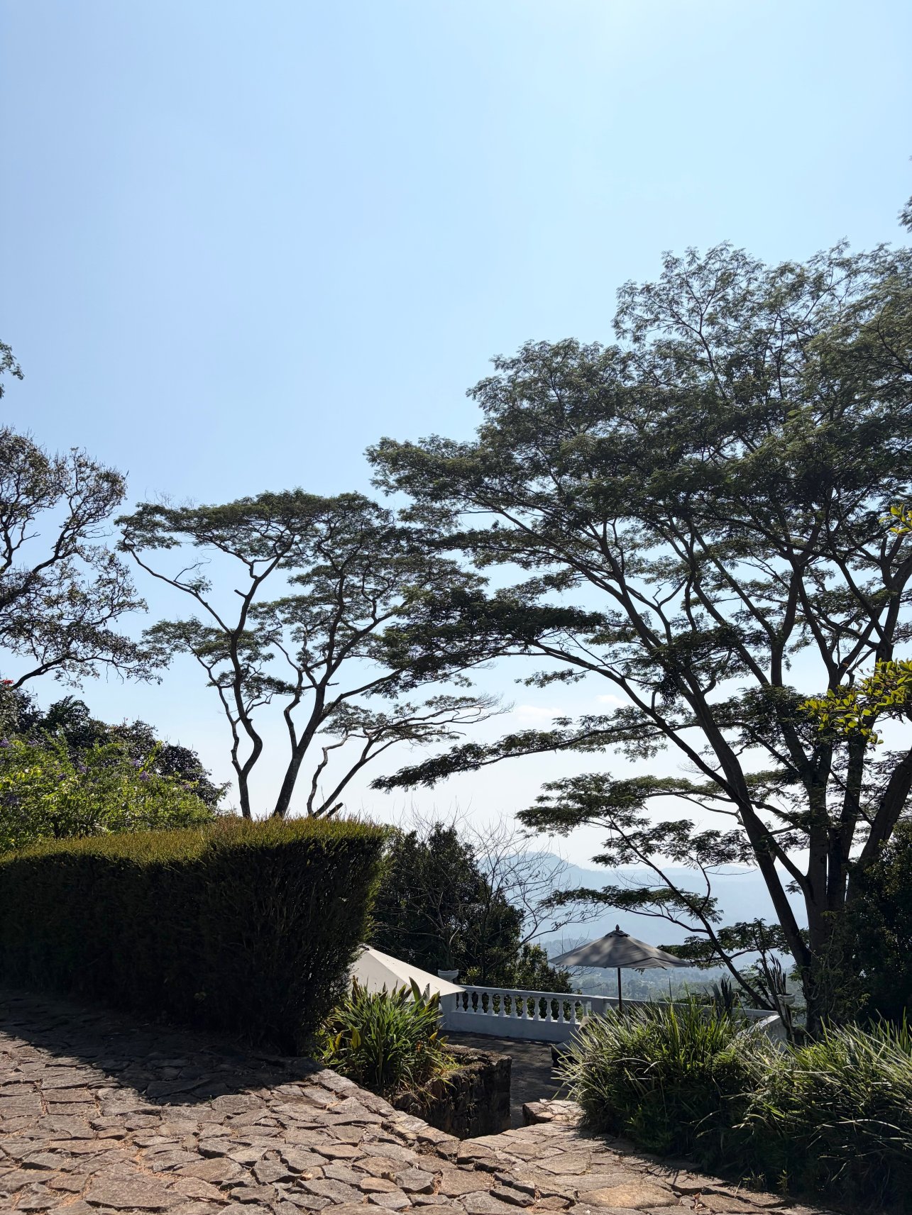 阿诗布恩汉姆茶园酒店-官方