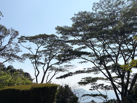 阿诗布恩汉姆茶园酒店主图