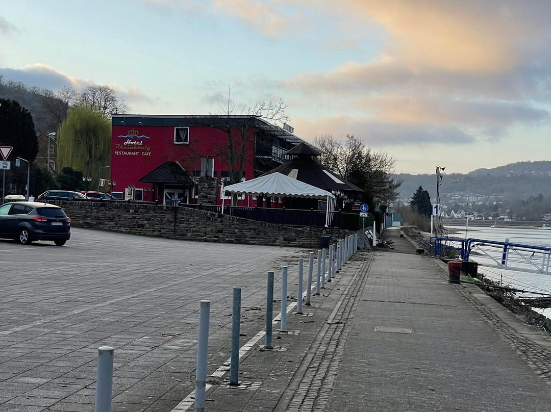 莱茵国王酒店主图