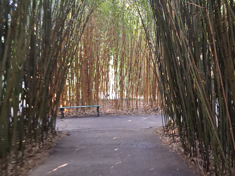 Labirinto Della Masone-丰塔内拉托必去景点