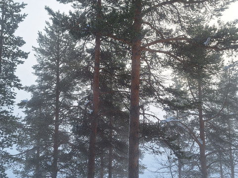 哈特拉普兰酒店主图